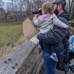 If you follow us on Instagram, you probably know that we love the Columbus Zoo. We have had a membership even before we had Baby O. The Beard actually proposed to me there so it holds a pretty close spot in my heart. When we decided to visit Indianapolis, we definitely have to check out their zoo! We're super thankful to our friends at Visit Indy for supplying us with a few tickets to check out the Indianapolis Zoo.  Although our tickets were on the house (zoo), it's pretty inexpensive to visit the awesome Indianapolis Zoo! First things first, kiddos under the age of two are free which is great. Depending on the time of year and date you go to the Indianapolis Zoo, prices range from $8.95 up to $20.95 per person. You can purchase tickets online for a cheaper price or take advantage of some of their ways to save like $2 off for AAA members! Once you're in the zoo, you'll probably want to snag a map to make sure you hit all the awesome exhibits. They have six exhibits throughout the zoo which boast 1,400 animals and 31,000 plants! It's essentially a trip around the world all in one place.  Something that I love about visiting the Indianapolis Zoo is that they have a ton of animals we don't have in Columbus. Case in point, this adorable sleepy sea lion! Do you guys know the difference between seals and sea lions? Google says that sea lions are "brown, bark loudly, "walk" on land using their large flippers and have visible ear flaps. Seals have small flippers, wriggle their bellies on land, and lack visible ear flaps."  It's unclear if I'll ever need to visibly know the difference between the two but I appreciate the fun party fact. There were three sea lions hanging out in the Oceans exhibit and while one slept, two of them swam around in circles, waiting for some attention. I'm glad we could give him/her a little appreciation on our chilly visit.  Baby O loves fishes and it's possible they are her favorite animal. Every time she sees one, she makes a kissy face and it's definitely the cutest. The aquarium area at the Indianapolis Zoo is pretty spacious and spread out with several exhibits of colorful fish like these grumpy looking lion fish.  I was a little too excited about the shark touch pool here, as you can see. I will say that after watching Finding Dory, I'm a little nervous about touch pools because I don't want to scare the animals. Disney movies teach us a little bit more about life than necessary sometimes.  On our way out of the Oceans exhibit, our sea lion friend was still swimming some laps so we took a rest to watch him/her for a few minutes. Baby O was pretty mesmerized, as were her parents, I have no reason or fun fact about this picture except I thought it was interesting looking so there you go.  Another animal that we don't have in Columbus, a walrus! He was just floating back and forth and pretty cool looking. Both male and female walruses grow tusks so I'm not sure who this cutie was but he/she seemed to be living the good mammal life.  After the Oceans exhibit, we headed over to the Forests exhibit to take a gander at some of those animals. Something I love about the Indianapolis Zoo and this exhibit specifically is how close you are to the animals. You'll see what I mean in the next picture. Hello there, friend! We were so close to this fuzzy guy that I wanted to just jump on in there with him which I obviously wouldn't recommend because he's a brown bear and might eat you. This is definitely the closest I've seen a bear and she/he was absolutely stunning!    Just as fuzzy but not as giant is the red panda. Contrary to their name, red pandas aren't actually pandas, but are more closely related to skunks or raccoons. I mean I wouldn't be mad if this bamboo eating friend came along in my backyard.  So I have a slight fear of birds because I don't trust things that fly. However, these beautiful and bright macaws eased my fear a little bit. I feel like something this beautiful can't be too scary. Right? That's what I'm telling myself.  In between the Forest exhibit and the other exhibits in the back of the Indianapolis Zoo is a little break area for families. There is a playground next to a few food options if you didn't pack anything. If you did pack, there are two picnic areas for you all to enjoy your lunch!  While it wasn't open during our visit, there is also a really cool Splash Pad thanks to Kroger. I really like the layout here because all the major food and "resting" options are right in the middle of the zoo.  The next exhibit we visited was Deserts which boasts furry mammals and loads of reptiles and birds. Throughout the raised pathways, you'll see cool animals like this turtle and lizard coexisting in their arid habitat. I was surpised at how fast this little turtle moved, he was all over the place!  In all reality, this was my favorite animal we saw during our time at the Indianapolis Zoo. This meerkat was one of about 8 who frolicked about digging holes or playing with his other meerkat friends. They are so fun to watch and remind me of our dog, Herbert, who is constantly burrowing.  Behind the walkway, there are a ton of fun facts about reptiles from all over the world. I might have held on to Baby O a little extra close here because scaly animals give me the heebie geebies.  Even if they make me a little weak in the knees, I can respect anything that has this coloring. This python can grow between 23 inches and 33 feet (OMG), and weigh up to 250 pounds! They can live up to 11 years and conservationists aren't too concerned about their viability in the wild.  While it's definitely awesome to see all these animals and learn a little bit more about them, I love that the basis of the Indianapolis Zoo is conservation efforts.  "We're not a zoo doing conservation; we're a global conservation organization that is a  zoo," says Indianapolis Zoo President and CEO, Mike Crowther. I just really appreciate and love that statement.  A sampling of the Indianapolis Zoo conservation initiatives can be viewed here. One of their programs, Association of Zoos and Aquariums' SAFE: Saving Animals from Extinction primarily focuses on animals who are at risk of extinction to pause or remove that risk.  This wasn't in service when we visited but I seriously want to go back just to take a ride on the Skyline at the Indiapolis Zoo. It's essentially a sky tram that lets you get an ariel view of the whole zoo and city, so cool!  The Simon Skjodt International Orangutan Center was definitely a really awesome and beautiful exhibit. "Designed to stimulate the apes' physical, social, and intellectual abilities, the Center is home to one of the largest groups of orangutans in any American zoo."  This group is watching this specific orangutan learn to do math which is just crazy to me. On the other side of this center, you'll find orangutan's swinging up to 80 feet above your head while playing with all their ape friends and family.  There is a plaque telling you that this orangutan is here because he wanted to be "alone" but you wouldn't say that if you saw the way he was interacting with Baby O. They were like two peas in a pod and it was hard to walk away from him.  I'd like to live somewhere you see flamingos just hanging out splashing around in the water, which means I should probably move to The Bahamas. Don't have to tell me twice. A flock of flamingos is called a flamboyance and they can live in colonies of thousands of birds!  While this isn't super relevant to me right now, it's definitely something nice to point out for nursing mothers. Back by the flamingos, you'll find the "Nursing Mom's Nest" which is a nice haven for breastfeeding mothers who want a little privacy.  Baby O is trying to learn and I'm just sitting over here laughing. Typical. I have to say I appreciate that there are fun little activities like this scattered throughout the Indianapolis Zoo for some extra learning while you're waltzing around.  Embarrassing Baby O from day one. No regrets.  Now, we are on to the Plains exhibit! Yet again, we got pretty close to the Kudu for some great photo opportunities. There was a pretty big log just out of this picture that a few of them were playing with or trying to demolish. It's fascinating how fascinating it can be to watch an animal play with a log.  Baby O was also intrigued by the Kudu and wanted to help test out the camera. We missed some of the animals in the Plains due to the chilly weather which was okay, just means we have to come back in the summer!  I swear this Lion wanted to get a piece of Baby O. I've never seen a lion growl like this and it was equally terrifying and amazing. Apparently, they only roar when trying to warn intruders so I think we got a little too close for comfort. Circling back on conservation, the Indianapolis Zoo has a really cool program to raise money for the Cheetah Conservation Fund. "Zoo visitors pay 50 cents to enter the track and try and outrun the 60 miles per hour light array that duplicates a cheetah's speed." Professional Race Car Driver, Tony Stewart helps fund this program which just sounds like a marketing match made in heaven.  Our last exhibit of the day was a super cool one that I'm glad we got to fully enjoy! They have an amazing Dolphin Dome area which boasts all types of dolphin adventures like an underwater viewing area which is super cool.  In addition to watching this really cool program about dolphin conservation, you can take part in some of their more interactive activites. Their really popular Art Adventures event sounds so fun and I'd love to enjoy something like this in Columbus! Not only do you and three friends get to meet some animals behind the scenes, you also get a custom piece of art made by an animal artist - so fun.  But, the coolest program is probably the Dolphin In-Water Adventure, the only place in the Midwest you can get in the water with dolphins! This super cool adventure will set you back $235-$265 but includes more than 30 minutes of poolside/in-water time with these beautiful animals, a hands-on classroom session, and some fun souvenirs to take home. There you have it friends, our trip to the Indianapolis Zoo. We had so much fun and we can't recommend it enough. Not only are they doing a stellar job in conservation for some of the world's most fragile animals, they have a beautiful facility with a ton of things to do. Snag your tickets here and start planning your next trip! 