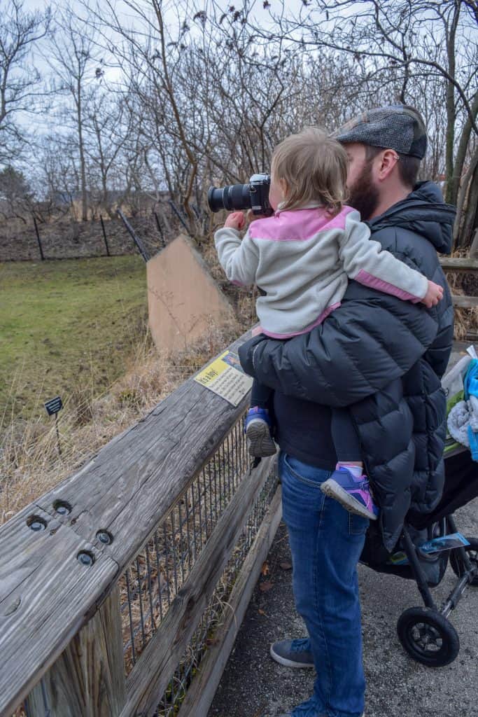 The Indianapolis Zoo is fun for people of all ages and we can't recommend it enough. Be sure to make time to see all of their awesome exhibits, including the Dolphin Dome Underwater Viewing area!