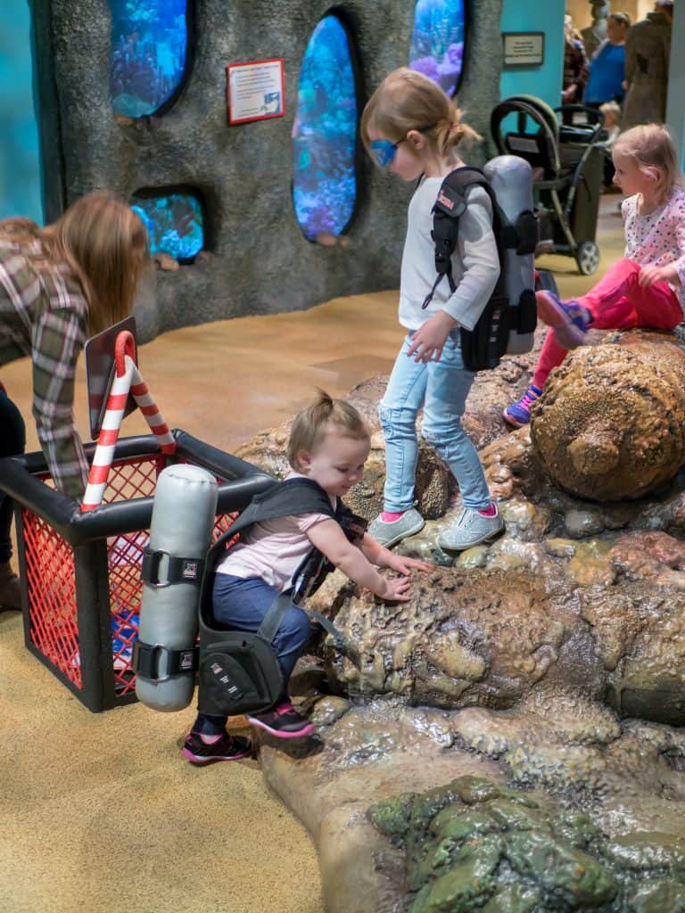 You will find 11 family friendly spots to visit in Indianapolis in this blog post! There is a little bit of something for everyone in the family. Places include the Indianapolis Zoo, Joella’s Hot Chicken, Indie Coffee Roasters, Charlie Brown’s Pancake & Steak House, Kaffeine Coffee, the Indianapolis City Market, Taqueria Zamortias, Lincoln Square Pancake House, the Children’s Museum of Indianapolis, Punch Burger, and Bee Coffee.