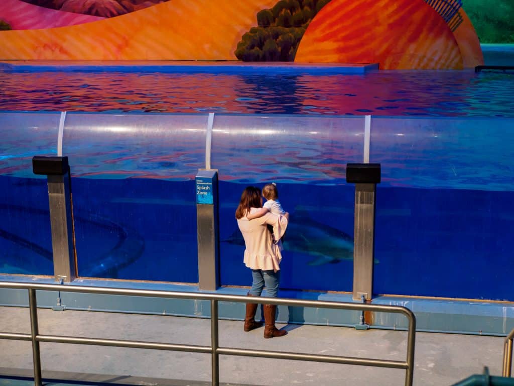 The Indianapolis Zoo is fun for people of all ages and we can't recommend it enough. Be sure to make time to see all of their awesome exhibits, including the Dolphin Dome Underwater Viewing area!