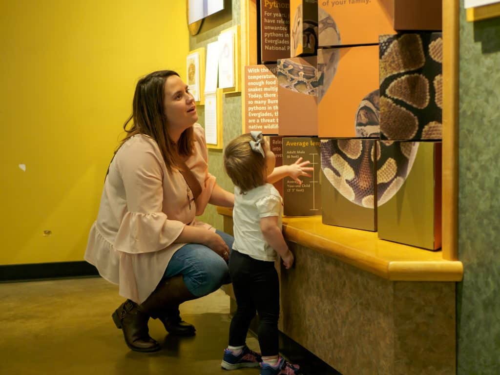 The Indianapolis Zoo is fun for people of all ages and we can't recommend it enough. Be sure to make time to see all of their awesome exhibits, including the Dolphin Dome Underwater Viewing area!