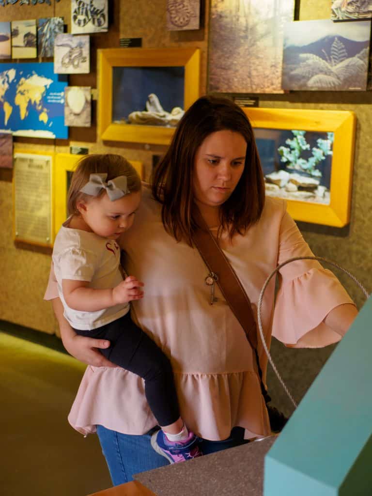 The Indianapolis Zoo is fun for people of all ages and we can't recommend it enough. Be sure to make time to see all of their awesome exhibits, including the Dolphin Dome Underwater Viewing area!