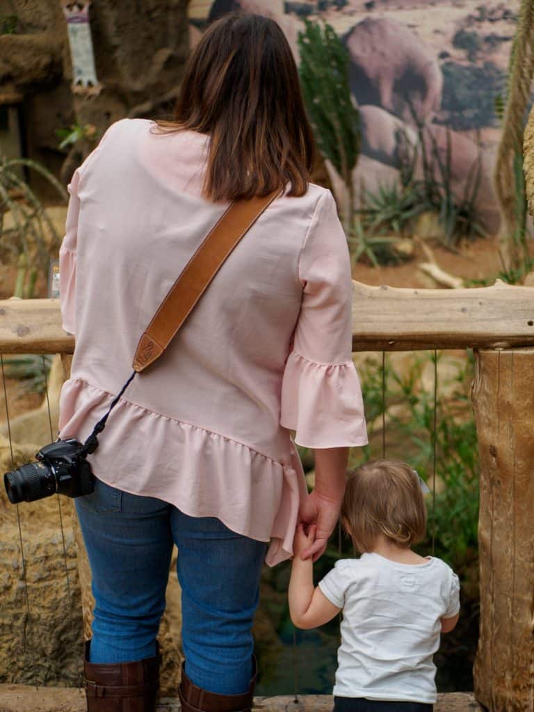 The Indianapolis Zoo is fun for people of all ages and we can't recommend it enough. Be sure to make time to see all of their awesome exhibits, including the Dolphin Dome Underwater Viewing area!