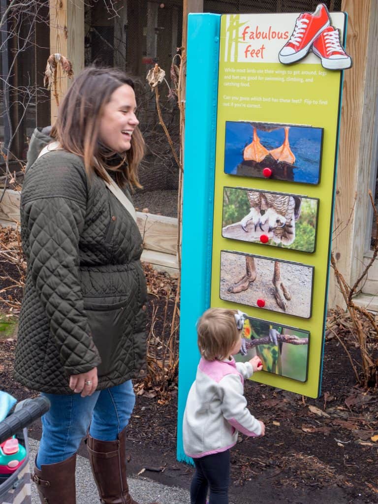 The Indianapolis Zoo is fun for people of all ages and we can't recommend it enough. Be sure to make time to see all of their awesome exhibits, including the Dolphin Dome Underwater Viewing area!