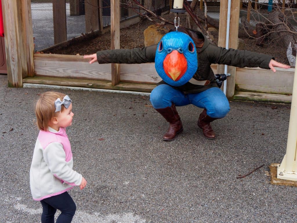 The Indianapolis Zoo is fun for people of all ages and we can't recommend it enough. Be sure to make time to see all of their awesome exhibits, including the Dolphin Dome Underwater Viewing area!