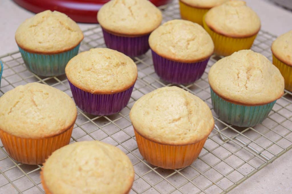 Bright and Citrusy Lavender Lemon Muffins without glaze.