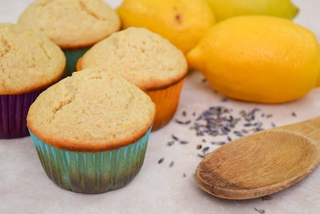 Bright and Citrusy Lavender Lemon Muffins without glaze.