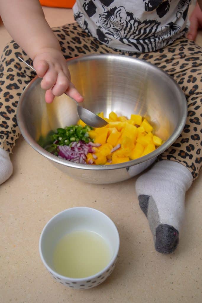 Fresh Mango and Avocado Salsa with Cheese Quesadillas