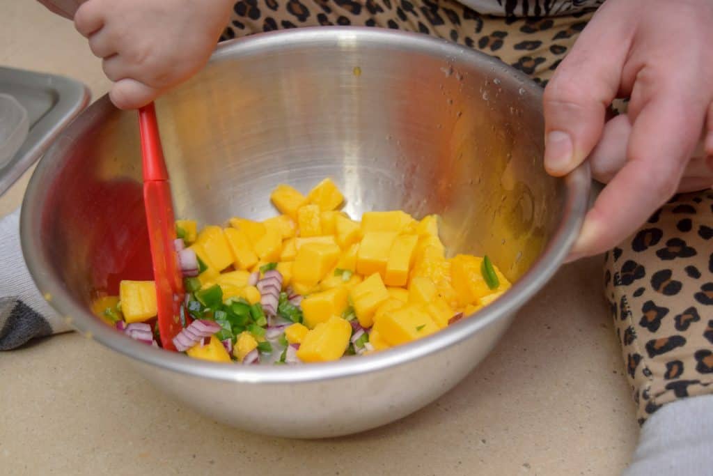 Fresh Mango and Avocado Salsa with Cheese Quesadillas