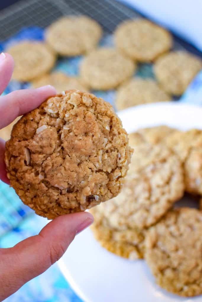 Coconut-Oatmeal-Cookies-Ohio-State-Fair-3