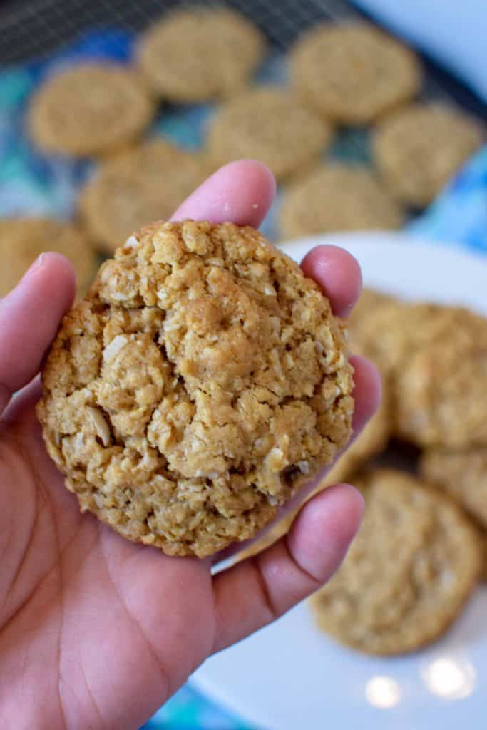 Coconut-Oatmeal-Cookies-Ohio-State-Fair-3