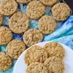 Coconut-Oatmeal-Cookies-Ohio-State-Fair-3