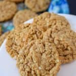 Coconut-Oatmeal-Cookies-Ohio-State-Fair-3