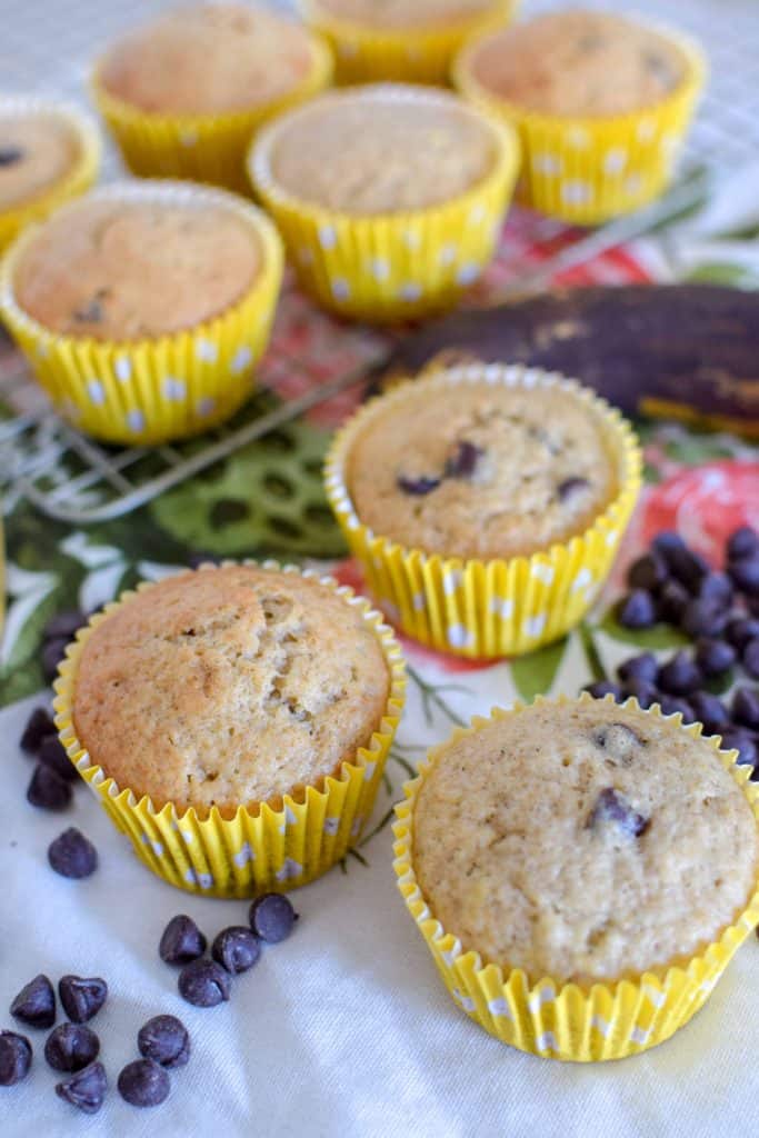 Banana Bread Muffins-with-Chocolate-Chips