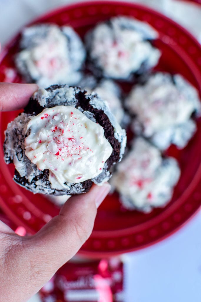 Chocolate crinkle cookies are amazing and all, but adding melted peppermint white fudge and crushed peppermint takes them to the NEXT LEVEL. Make sure you add these simple peppermint mocha crinkle cookies to your Christmas cookie table this year.