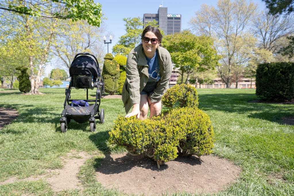 Dog made out of topiary.