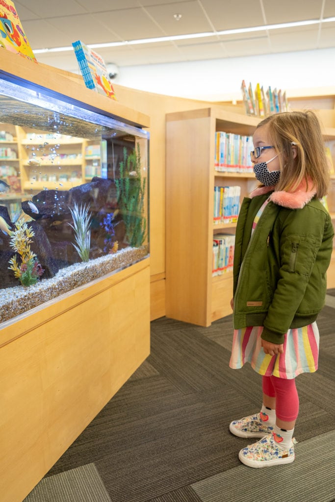 Child looking at fish tank inside library.