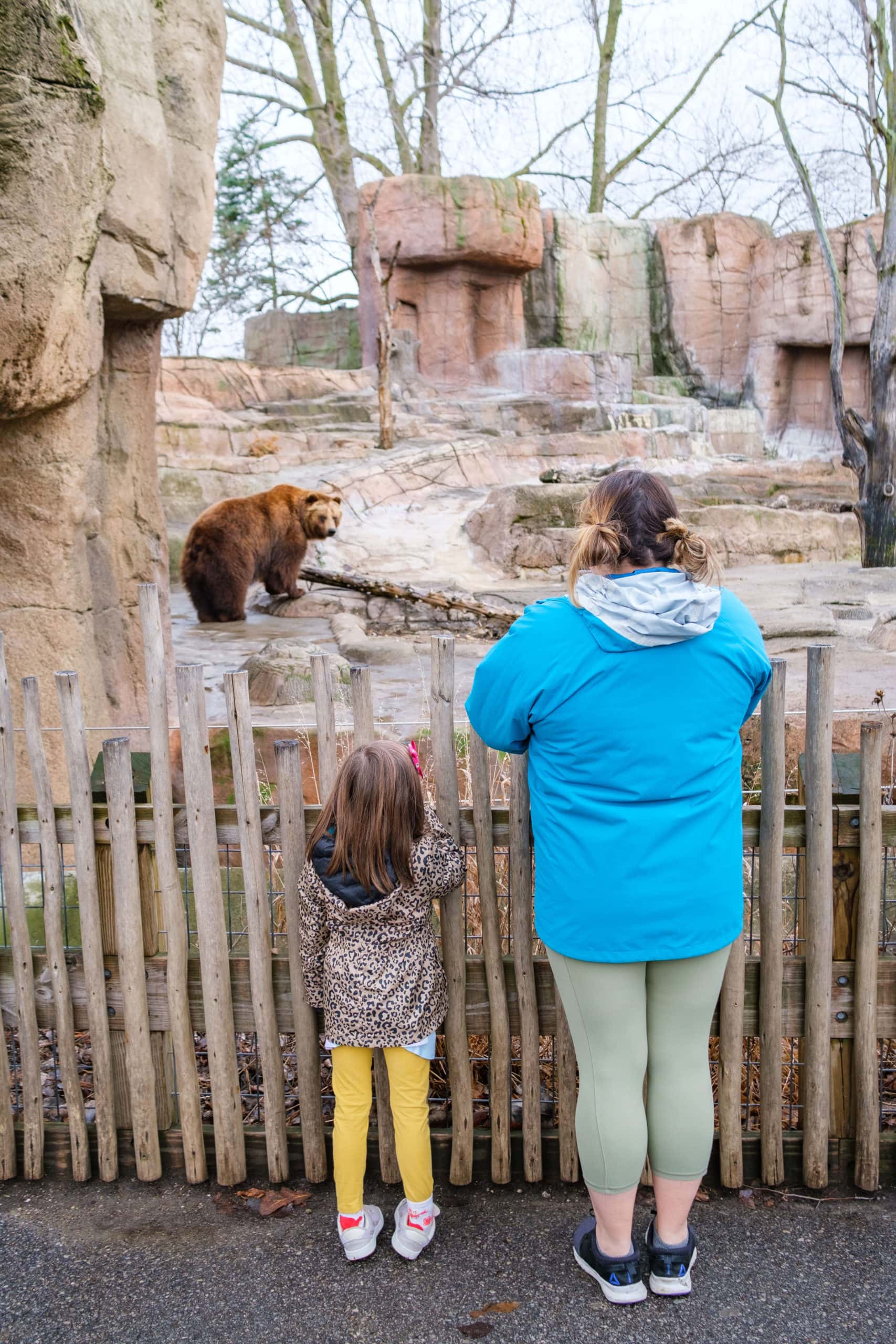 Mother and daughter looking at brown bear inside the Indianapolis Zoo.