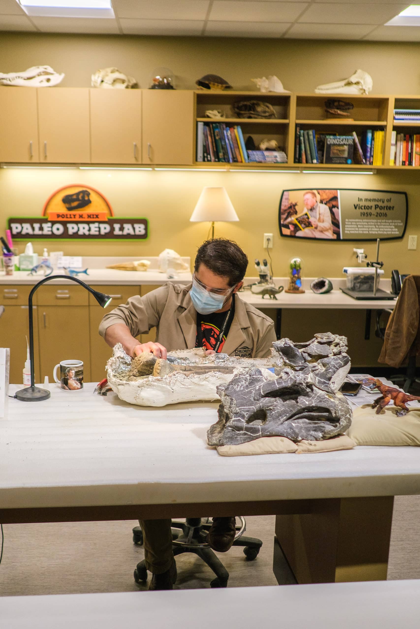 Archaeologist caring for fossils inside of the Children's Museum Of Indianapolis.