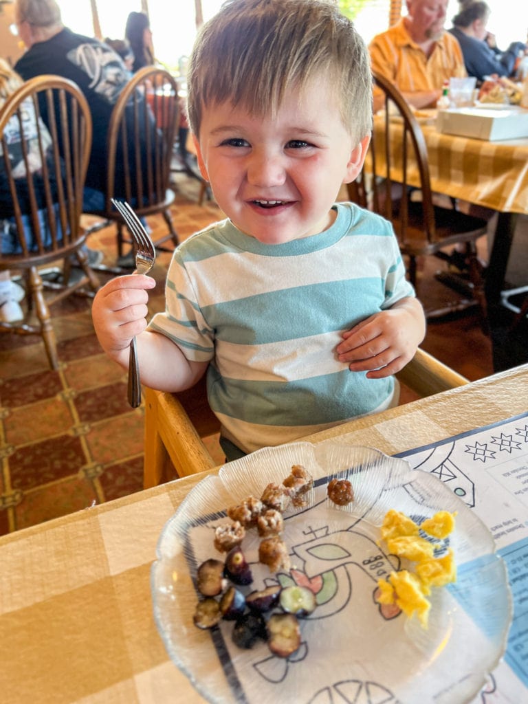 Toddler boy at Der Dutchman in Plain City Ohio.