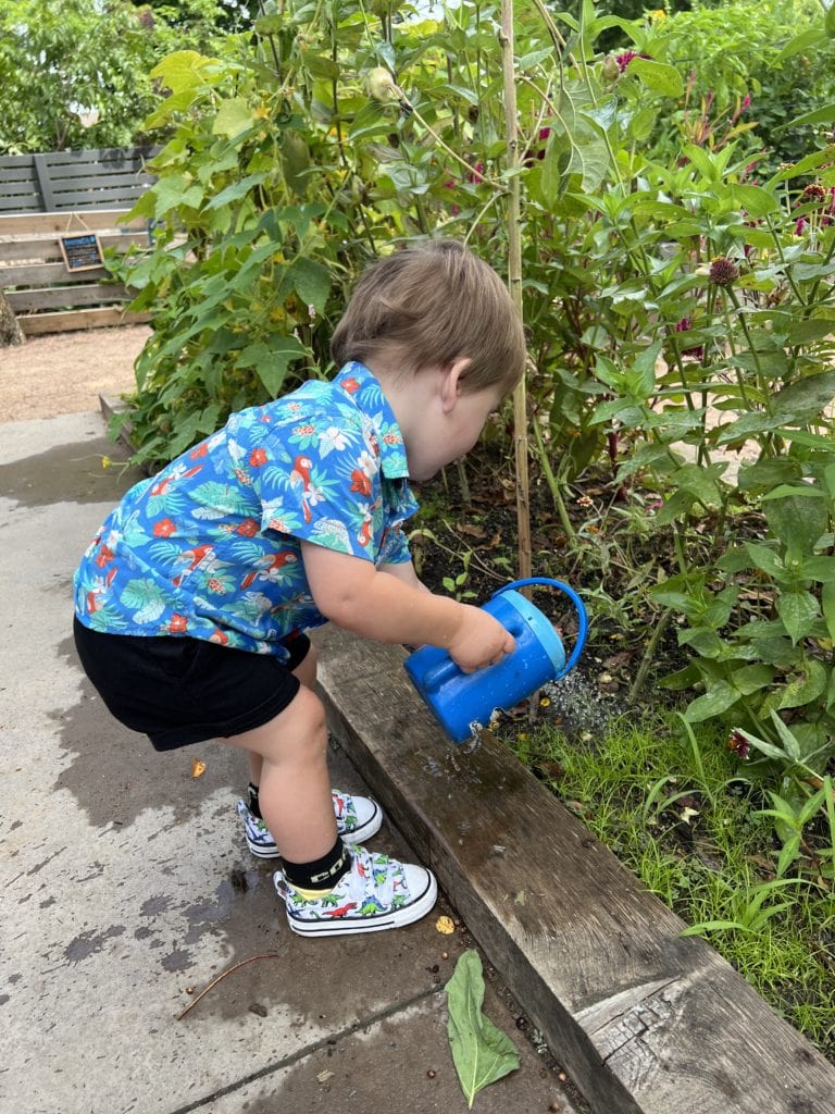 Child watering plants at Franklin Park Conservatory in Columbus, OH