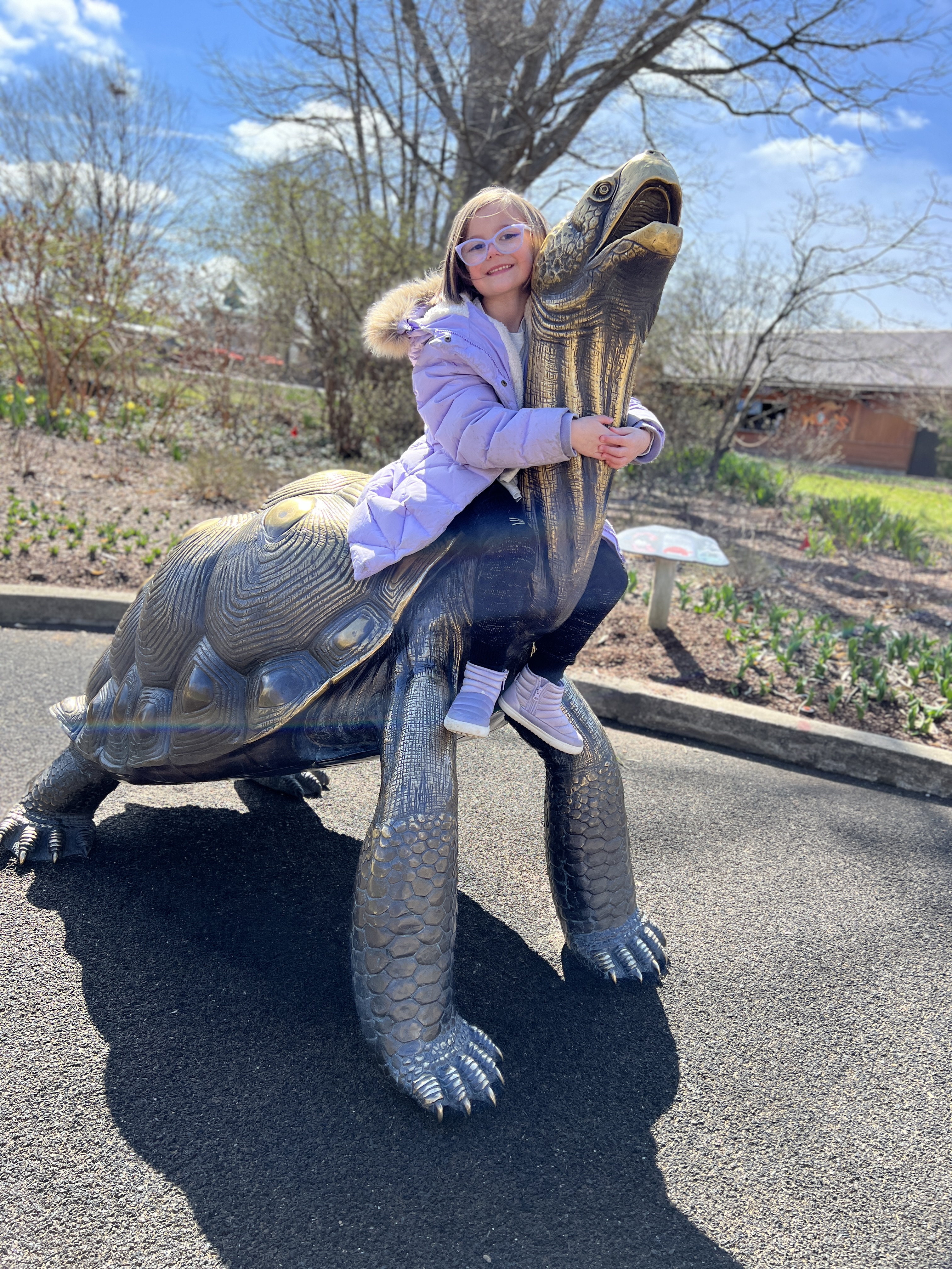 A girl in a purple coat on the turtle structure at the Cincinnati Zoo. 