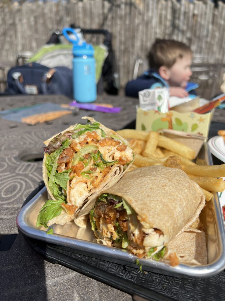 Buffalo Chicken Wrap at the Cincinnati Zoo. 